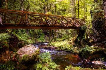 Bachlauf mit Brücke in Klamm im Wald