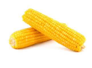 Boiled corn cob isolated on white
