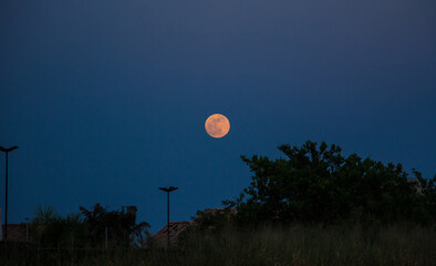 Lua
