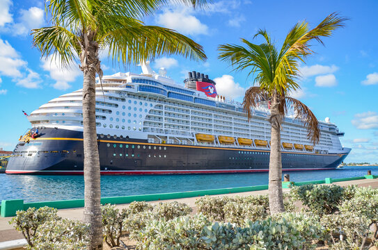 Disney Cruise Line ship in port in Nassau with Palm Trees in foreground