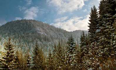 mountains and the blue sky