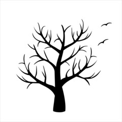 Black tree isolated on white background. Silhouettу of dry bare trees. Autumn or spring, flat illustration. Birds silhouettes 