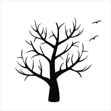 Black tree isolated on white background. Silhouettу of dry bare trees. Autumn or spring, vector illustration. Birds silhouettes 