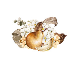 Watercolor floral bouquet. Hand painted autumn leaves, fall flowers, berries, pear. Isolated on white background. Botanical illustration for design, print, social media, halloween, thanksgiving
