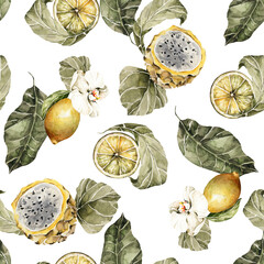 Watercolor floral seamless pattern. Hand painted tropical leaves, citrus, exotic dragon fruits, lemons, flowers. isolated on white background. Botanical illustration for textile, print, digital paper