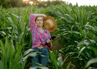 Young handsome agriculture engineer standing in corn field with tablet in early summer