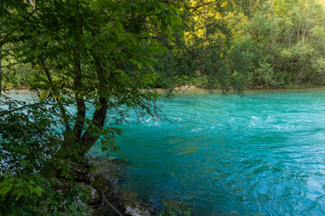 Obraz premium River in a forest. Beautiful green nature. Blue sunny sky.