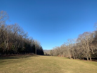 landscape with trees