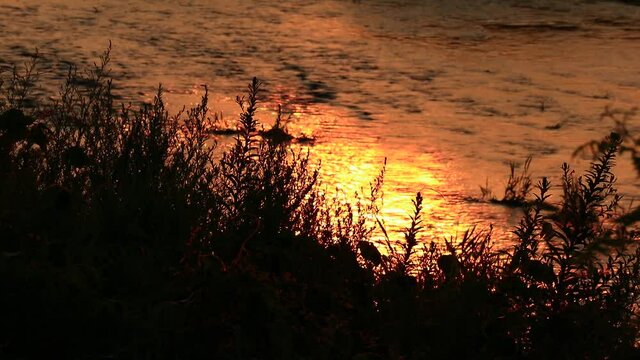 山に沈む夕陽　川の流れ　秋田県　夏