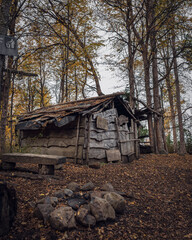 abandoned house in the woods