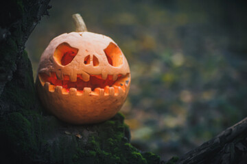 Jack O Lantern, with an evil face. spooky pumpkin for halloween on a fallen tree in the forest on a...