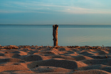 Old tree pillar on the coastline around sand near sea