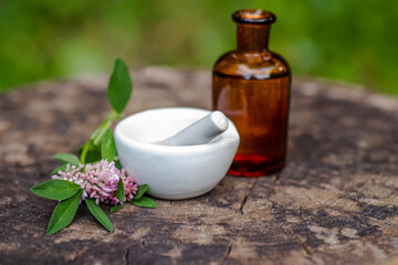 Trifolium medium, zigzag clover next to pharmacy utensils bottle for medicines, pantglas made of...
