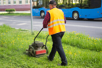 Mowing the lawn. The gardener mows the grass.