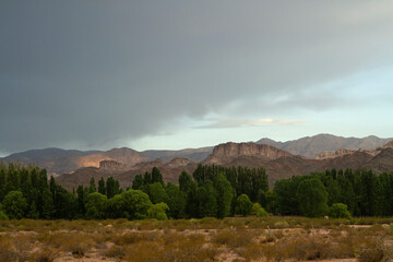 Beautiful view of the desert, field, mountains and green forest at sunset in Uspallata, Mendoza, Argentina.