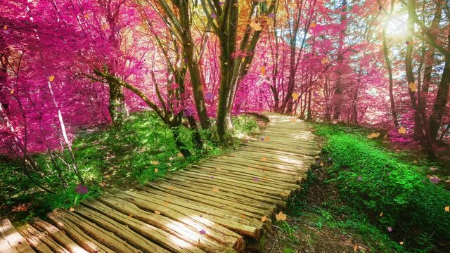 Seamless Loop Cinemagraph video of wooden path in Plitvice Lake, Croatia fantasy foliage color . Tranquil nature scenery for relaxation background .