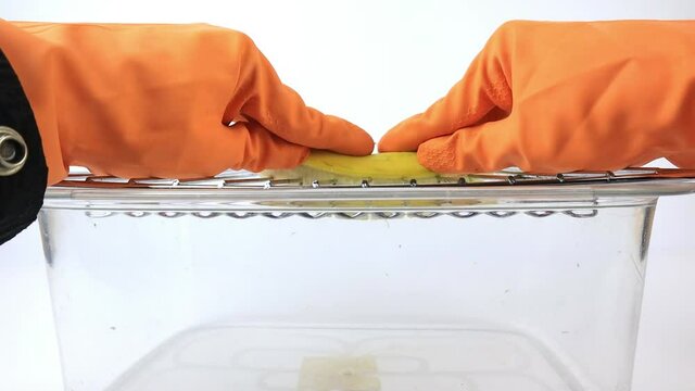 The easiest way to peel bananas. Life hack peeling banana