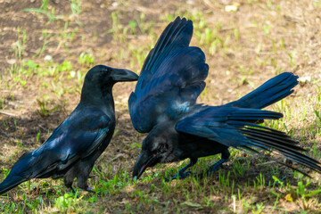 北海道函館市内を観光している風景 Scenery of sightseeing in Hakodate, Hokkaido.