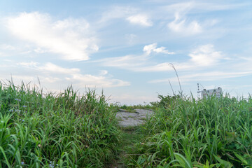 Fototapeta na wymiar 北海道函館市の函館山を登山する風景 A view of climbing Mount Hakodate in Hakodate, Hokkaido. 
