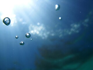 Obraz na płótnie Canvas bubbles water