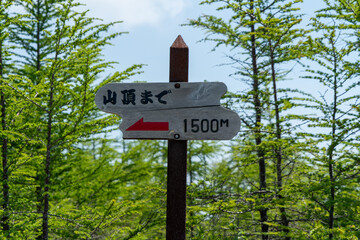 北海道森町、鹿部町、七飯町の北海道駒ヶ岳を登山する風景 Scenery of climbing Mt. Hokkaido-Komagatake in Morimachi, Shikabe-cho, and Nanae-cho, Hokkaido.