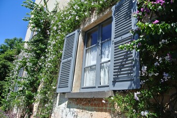 Flower Covered Window