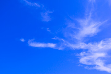 Fototapeta premium 夏の空