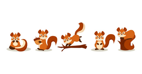 Set of cute squirrel mascot design