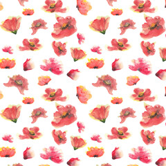 Poppy flower seamless pattern on white background, watercolor hand drawn