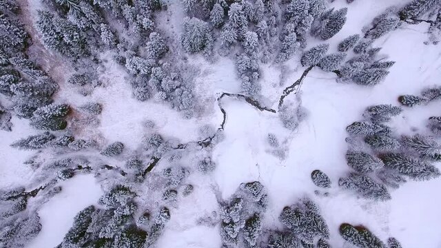 Aerial view of Amden, Switzerland, the snow-covered mountain peaks and pines, the beautiful view of snowy mountains, top view