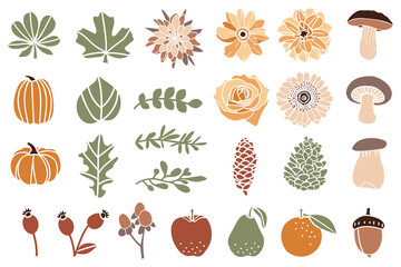 Set of Autumn Themed Elements: Flowers, Fruits and Leaves