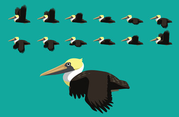 Animal Animation Sequence Brown Pelican Flying Cartoon Vector