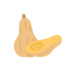 illustration of a pumpkin and pumpkin pieces. fruit and food. agricultural product. flat cartoon style. vector design