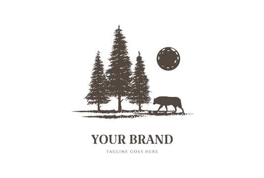 Sunset Pine Cedar Spruce Fir Trees with Wolf for Wilderness Adventure Logo Design Vector