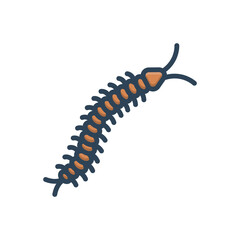 Color illustration icon for centipede