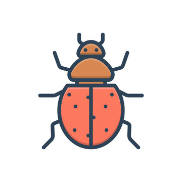 Color illustration icon for ladybug