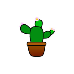 Small green mushrooms in a flowerpot