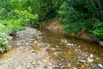 福島県、新潟県、群馬県にある尾瀬ヶ原をハイキングしている風景 Scenery of hiking in Ose-ga-hara in Fukushima, Niigata and Gunma prefectures.