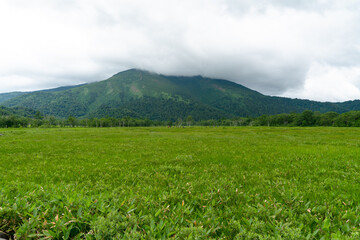 福島県、新潟県、群馬県にある尾瀬ヶ原をハイキングしている風景 Scenery of hiking in Ose-ga-hara in Fukushima, Niigata and Gunma prefectures.