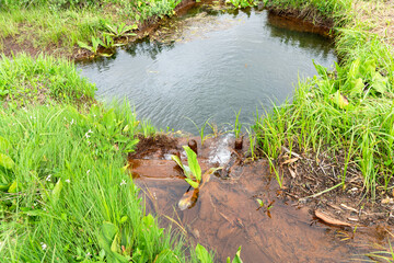 福島県、新潟県、群馬県にある尾瀬ヶ原をハイキングしている風景 Scenery of hiking in Ose-ga-hara in Fukushima, Niigata and Gunma prefectures.