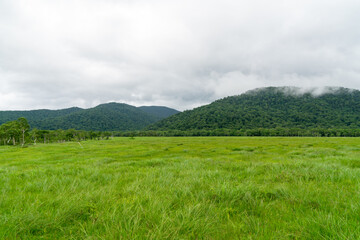 福島県、新潟県、群馬県にある尾瀬ヶ原をハイキングしている風景 Scenery of hiking in Ose-ga-hara in Fukushima, Niigata and Gunma prefectures.