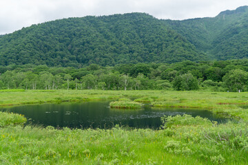 福島県、新潟県、群馬県にある尾瀬ヶ原をハイキングしている風景 Scenery of hiking in Ose-ga-hara in Fukushima, Niigata and Gunma prefectures.