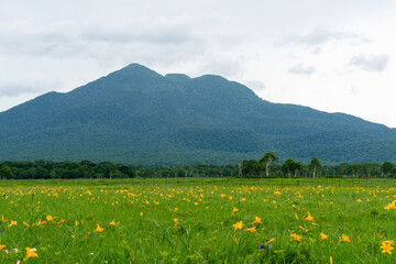 福島県、新潟県、群馬県にある尾瀬ヶ原をハイキングしている風景 Scenery of hiking in Ose-ga-hara in Fukushima, Niigata and Gunma prefectures.