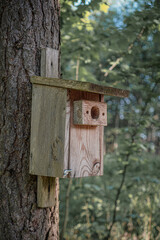 wooden bird house