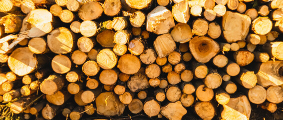 masonry from freshly sawn fragrant logs