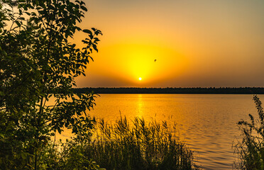 Fototapeta na wymiar beautiful gentle sunset over a quiet summer lake