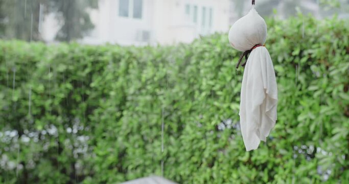 Cute traditional Japanese Doll Teru teru bouzu hanging on a rainy day with green nature plant background