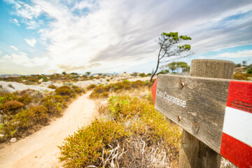 (Selective focus) Focus on the wooden footpath sign indicates the direction to Cala Caprarese...
