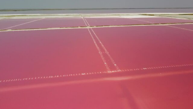 Flying over the pink colored lagoons of salt fields. Picturesque drone point of view of the colorful salt lakes on a sunny summer day. Dunaliella salina. Aerial top down wide shot at summer sunny day