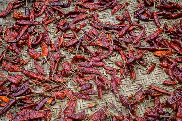 Red chili peppers drying out in the sun naturally, laying flat, and spreads thin out on a grass mat surface. Process of making hot and spicy dried chili powder.